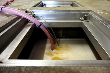 le vin en fermentation